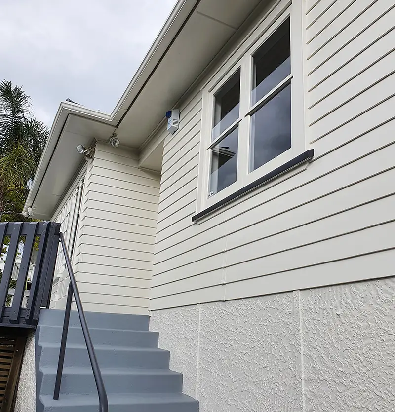 Freshly-painted exterior wall of a home