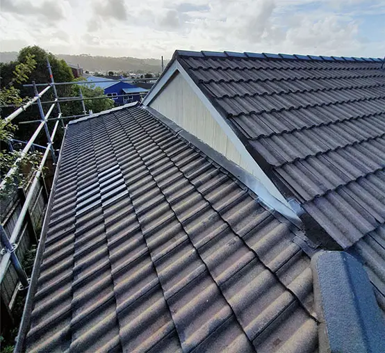 before photo of a house roof, in need of repainting